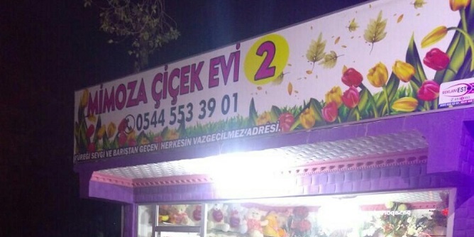 Mimoza Çiçek Evi 2