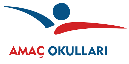 Amaç Okulları